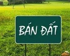 Cần bán mảnh đát tại ngõ 214 /55 ngách 38 Đường Nguyễn Xiển,  Tân Triều, Huyện Thanh Trì, Hà Nội