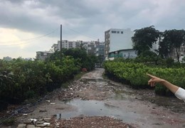 Bán Gấp Quy Hoạch Đất Giáo Dục Quận Gò Vấp Giảm Mạnh Còn 250 Tỉ