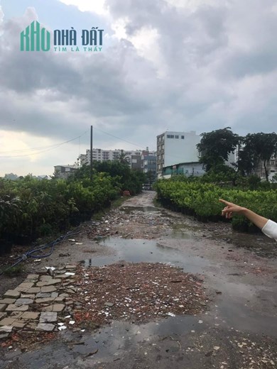 Bán Gấp Quy Hoạch Đất Giáo Dục Quận Gò Vấp Giảm Mạnh Còn 250 Tỉ