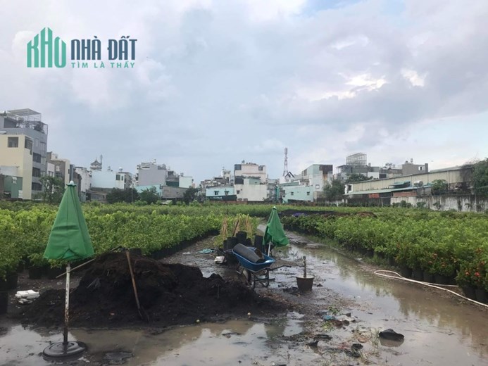 Bán Gấp Quy Hoạch Đất Giáo Dục Quận Gò Vấp Giảm Mạnh Còn 250 Tỉ