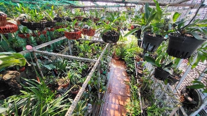 Bán nhà thoáng rộng gần phố Trương Định-đầy đủ nội thất đẹp, DT 50m x 6 tầng giá chỉ 5,5 tỷ
