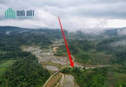 BÁN ĐẤT MĂNG ĐEN GIÁ SIÊU RẺ CHO KHÁCH HÀNG ĐẦU TƯ