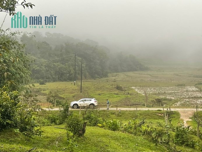 BÁN ĐẤT MĂNG ĐEN GIÁ SIÊU RẺ CHO KHÁCH HÀNG ĐẦU TƯ
