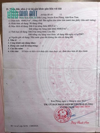 BÁN ĐẤT MĂNG ĐEN GIÁ SIÊU RẺ CHO KHÁCH HÀNG ĐẦU TƯ