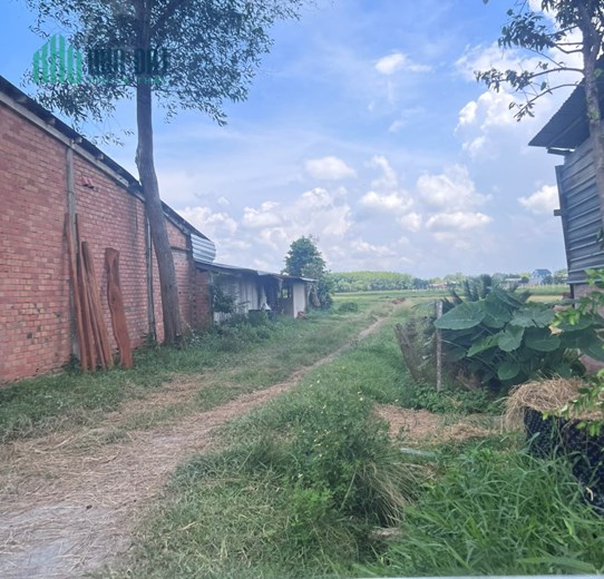 Giảm giá bán lô đất 500m2 tại Củ Chi.