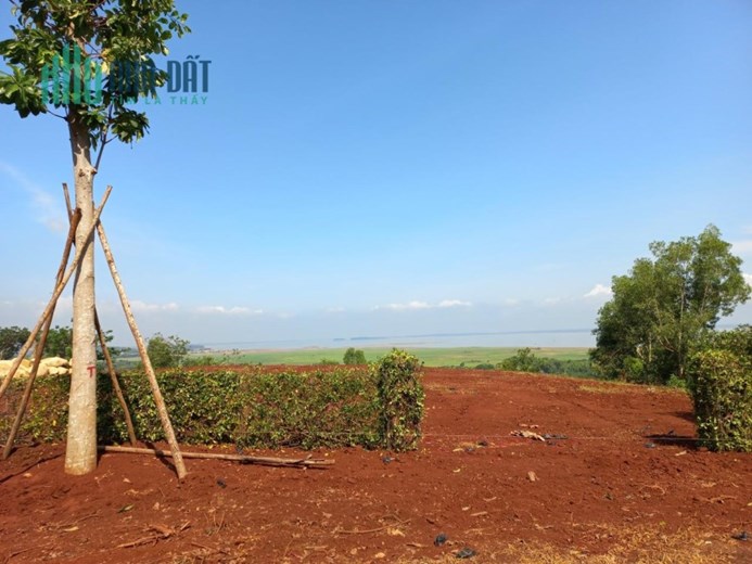 Chủ cắt lỗ 800tr cho lô 1000m2 ngay Hồ Trị An, view đẹp nhìn bao quát Hồ, LH 0907307123
