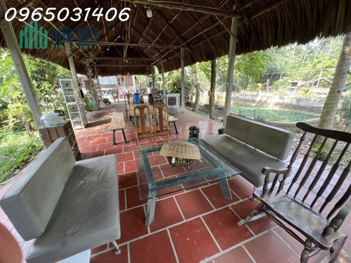 Cho thuê nhà vườn 1800m giá rẻ tại Ấp Long Hưng,Xã Long Nguyên, Huyện Bàu Bàng, Bình Dương