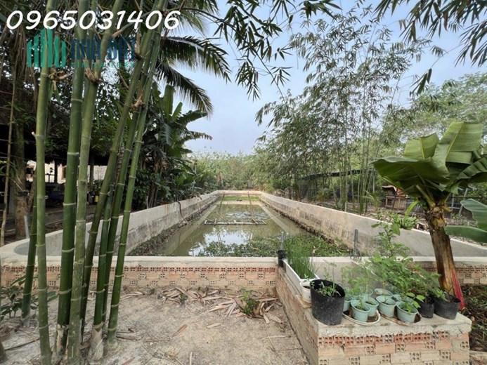 Cho thuê nhà vườn 1800m giá rẻ tại Ấp Long Hưng,Xã Long Nguyên, Huyện Bàu Bàng, Bình Dương