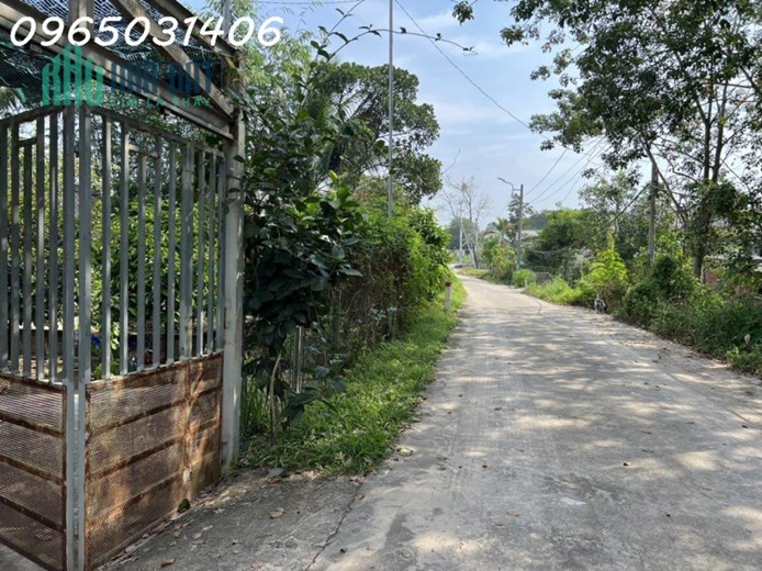Cho thuê nhà vườn 1800m giá rẻ tại Ấp Long Hưng,Xã Long Nguyên, Huyện Bàu Bàng, Bình Dương