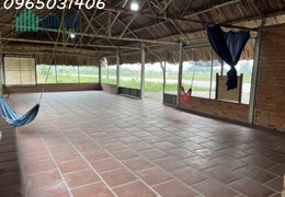 Cho thuê mặt tiền rộng giá rẻ Đường Vành đai 4, Thới Hòa, Bến Cát, Bình Dương
