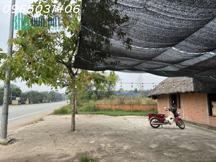 Cho thuê mặt tiền rộng giá rẻ Đường Vành đai 4, Thới Hòa, Bến Cát, Bình Dương