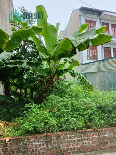 Bán nhà Cống Thôn, Yên Viên, gần chợ Vân, oto vào rộng, đường thoáng, 71m, mặt 4m, 3 tỷ 6