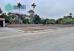 Bán khu đất nền nằm sát với nút giao cắt đường bộ ven biển vào TP Hải Phòng, giá chỉ 505tr