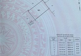 Xuất cảnh cần bán gấp  2 sổ là 20178 m², tại bình chánh tphcm