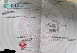 Cần bán gấp lô gần 1,1 mẫu ở TAH huyện Củ Chi TPHCM