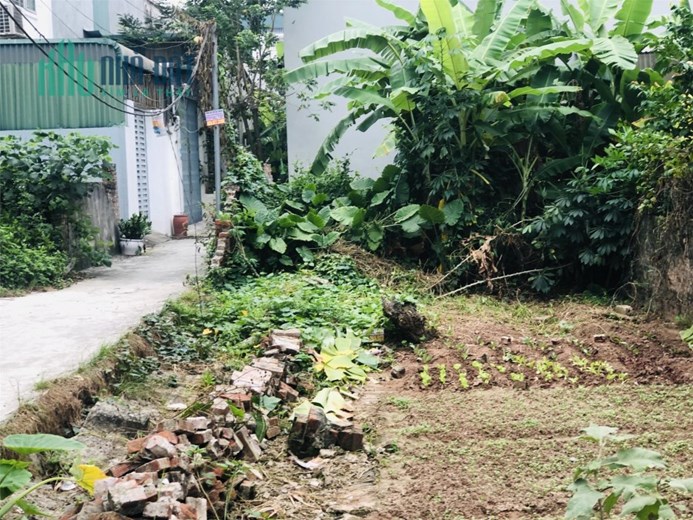 Bán 59m2 đất Phụng Châu, Lô góc đường 5m thông o tô, giá 1.25 tỷ