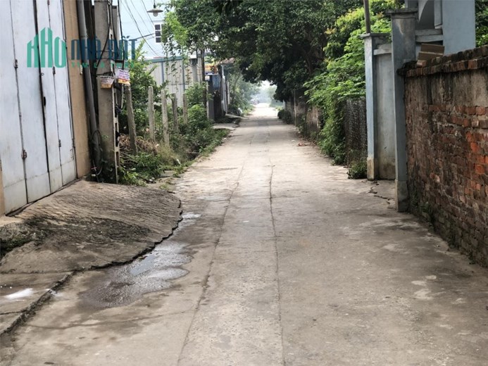 Bán 59m2 đất Phụng Châu, Lô góc đường 5m thông o tô, giá 1.25 tỷ