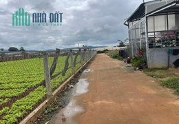 "🔊 Sốc Sốc Sốc  🔥 Đất đẹp giá bèo nhà nghèo cũng có tiền mua "