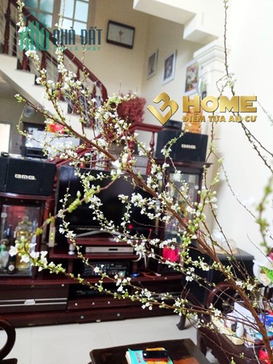 MN1439. CHO THUÊ NHÀ MẶT NGÕ CHỢ ĐÔN 240M2 CÓ 5 NGỦ
