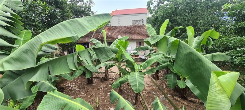 chỉ hơn 500tr đất Hộ khẩu chương mỹ - hà nội.