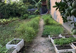 720tr- 50m đất sát Thị Trấn Chúc Sơn hà đông - đường ô tô tận đất