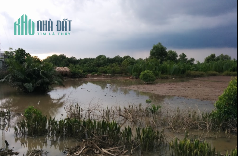 *** Bán Lô Đất Nông Nghiệp tại xã Hiệp Phước, Nhà Bè ***