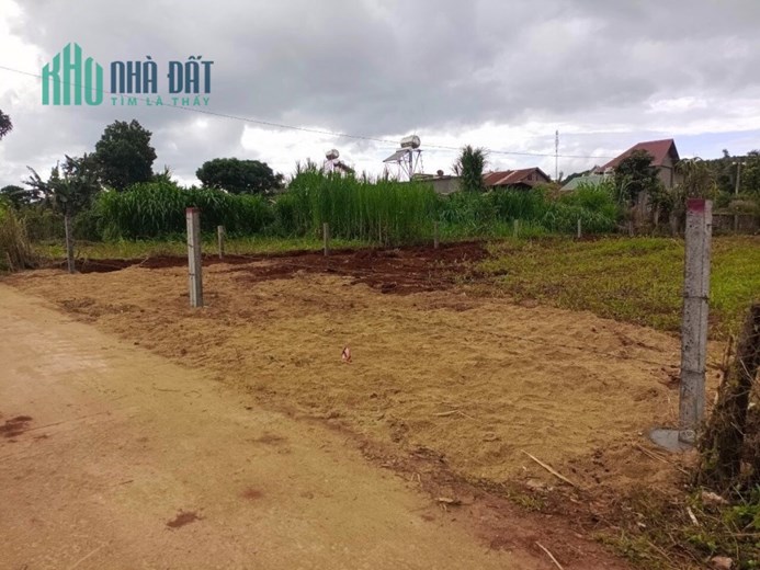 💥 Cơ hội đầu tư siêu lợi nhuận cho ACE đây ạ