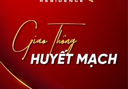 đất nền đấu giá
