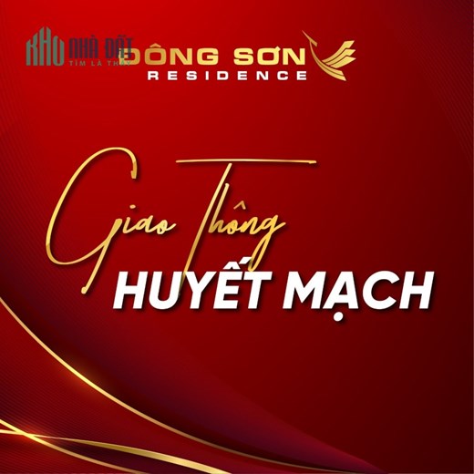 đất nền đấu giá