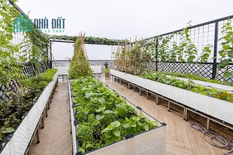 BÁN NHÀ HÓA BÌNH 7, HAI BÀ TRƯNG SIÊU SÁNG SIÊU ĐẸP 40M2*7 TẦNG THANG MÁY ĐỈNH CAO, PHÒNG CHÁY