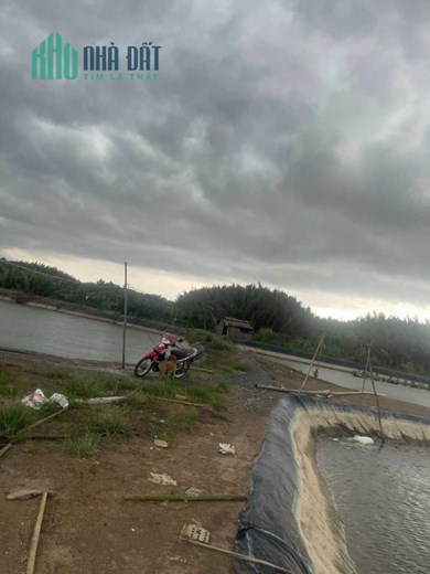 *** BÁN LÔ ĐẤT NÔNG NGHIỆP, NHÀ BÈ GIÁ THỊ TRƯỜNG ***