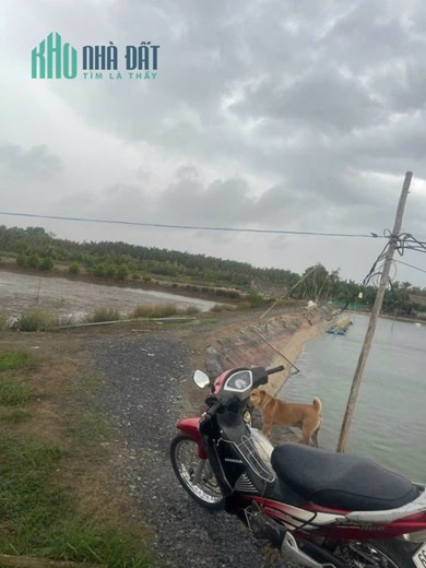 *** BÁN LÔ ĐẤT NÔNG NGHIỆP, NHÀ BÈ GIÁ THỊ TRƯỜNG ***