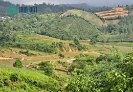 VÂN ĐỒN - chủ cần tiền cắt lỗ mảnh đất ngay trục đường 334