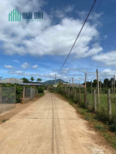 NỢ LỚN CẦN BÁN GẤP ĐẤT TÂN SƠN - GIA LAI - PLEIKU SIÊU RẺ