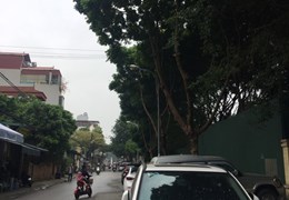 Bán nhà mặt phố Ái Mộ Long Biên 51m MT 4m nhỉnh 11 tỷ