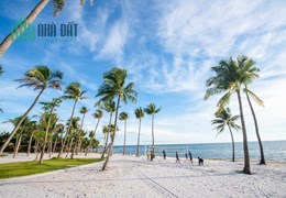 Cần tìm nhà đầu tư cho 1ha đất Mặt Biển tại Bãi Trường.