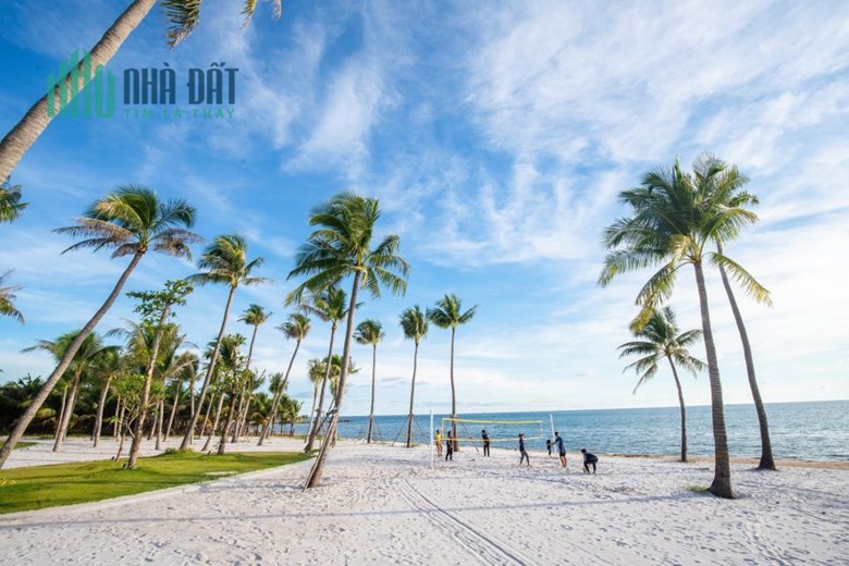 Cần tìm nhà đầu tư cho 1ha đất Mặt Biển tại Bãi Trường.
