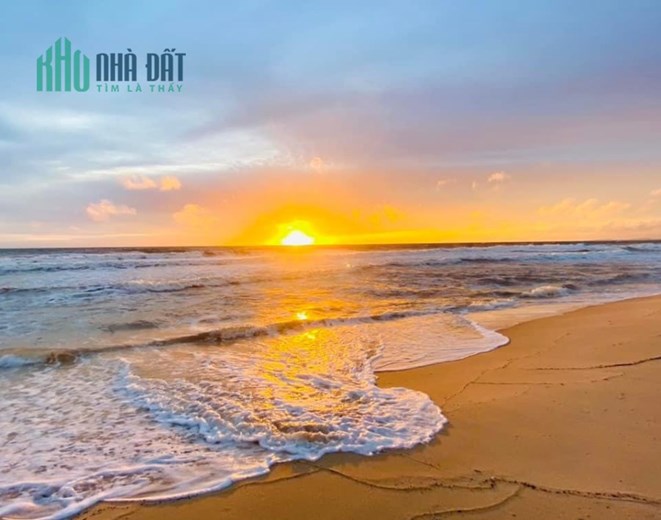 Cần tìm nhà đầu tư cho 1ha đất Mặt Biển tại Bãi Trường.
