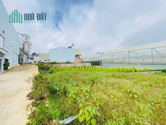 Bán đất Nguyên Tử Lực Đà Lạt giá đầu tư 338m2 chỉ 10 tỷ