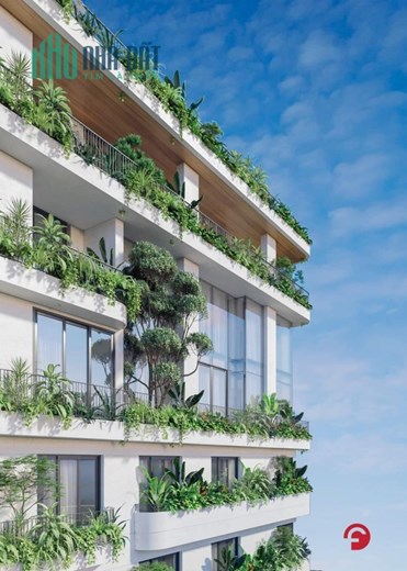 SIÊU BIỆT THỰ VIEW HỒ TÂY - BA MẶT THOÁNG. 246M X 10T X MT 10,2M. GIÁ 1XX TỶ