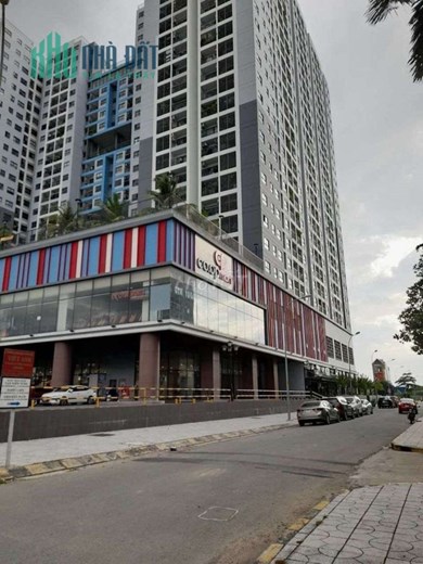BÁN ĐẤT THỔ CƯ 2 MẶT TIỀN TAM BÌNH THÀNH PHỐ THỦ ĐỨC