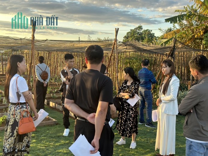BÁN ĐẤT NỀN VÀ HỢP TÁC ĐẦU TƯ BIỂN HỒ PLEIKU GIA LAI CẦN RA ĐI GẤPPPP