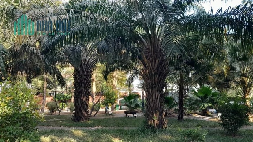 CHO THUÊ VILA KHU BIỆT THỰ BAO CẤP THẢO ĐIỀN 5PN