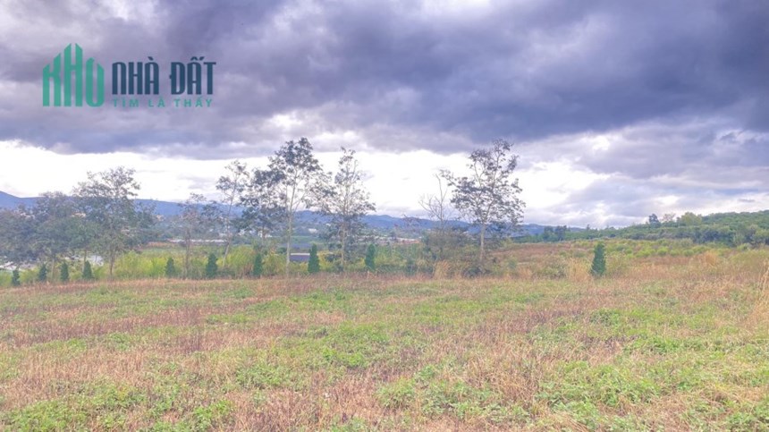 Gần 2 héc ta đất hẻm xã Tân thành Tân hội Đức trọng