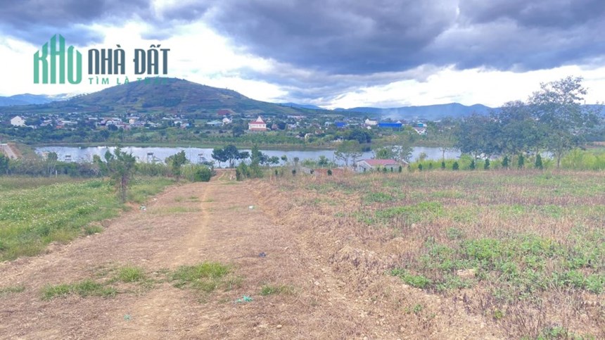Gần 2 héc ta đất hẻm xã Tân thành Tân hội Đức trọng