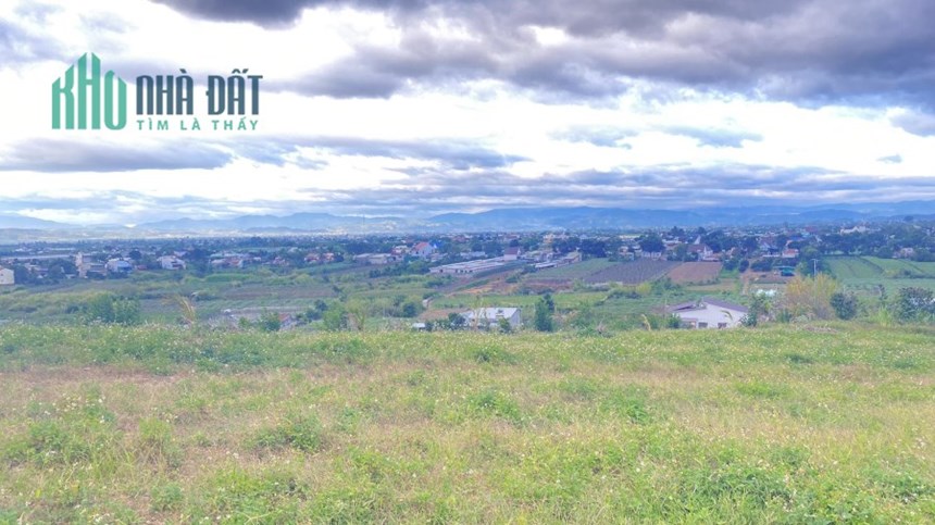 Gần 2 héc ta đất hẻm xã Tân thành Tân hội Đức trọng