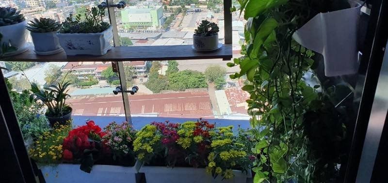 Cho thuê CHCC Kingdom 334 Đường Tô Hiến Thành, Quận 10, 80m2, 2PN, 2WC, Full NT
