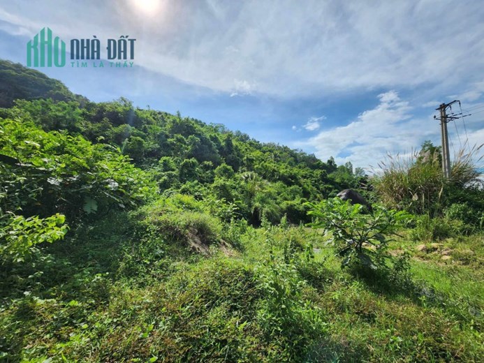 CHUYỂN NHƯỢNG 1,5HA DIÊN TÂN - DIÊN KHÁNH 790tr