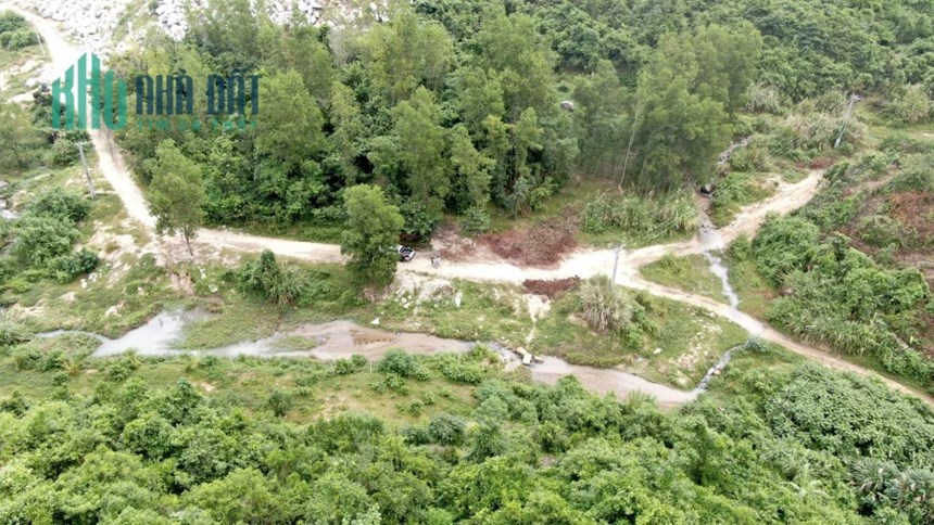 Bán 1.5 ha Diên Khánh Nha Trang, Giá 790 triệu đường ô tô