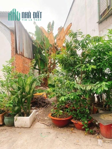 BÌNH TÂN - HXH - 64M2 - NHỈNH 4 TỶ